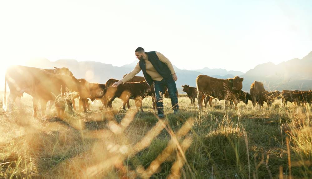 prévoyance agriculteurs près de Loudéac